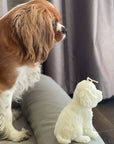 King Charles Cavalier Decorative Candle_12