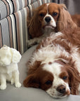 King Charles Cavalier Decorative Candle_14