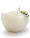 Nautilus Decorative Candle_6