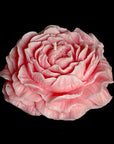 Petite Flower Decorative Candle_4