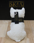 dog_candle13_3
