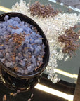 Lavender Dream Bath Soak_Video