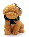 Cavoodle Decorative Candle