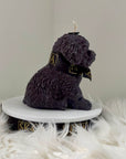 Cavoodle Decorative Candle