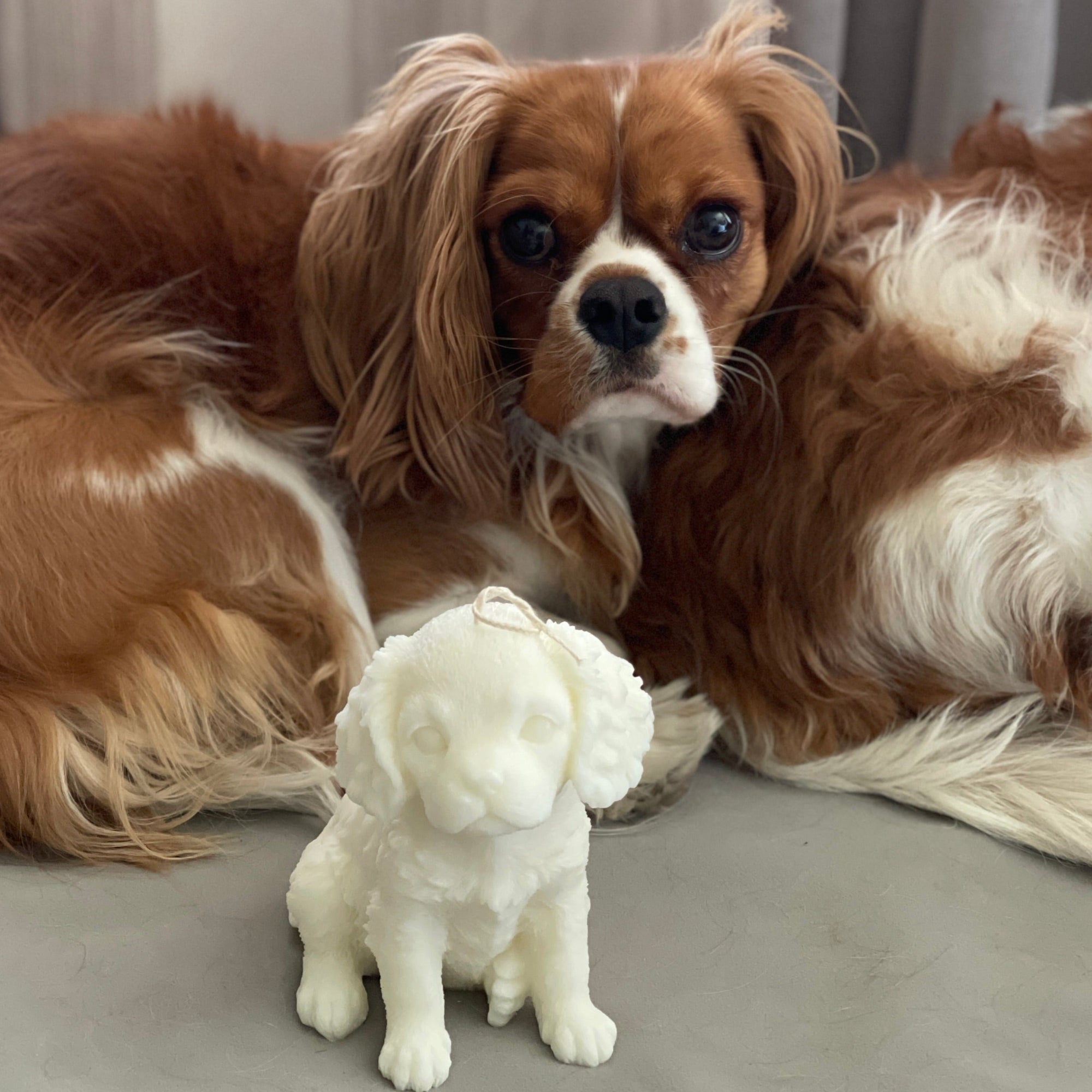 King Charles Cavalier Decorative Candle