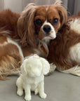 King Charles Cavalier Decorative Candle