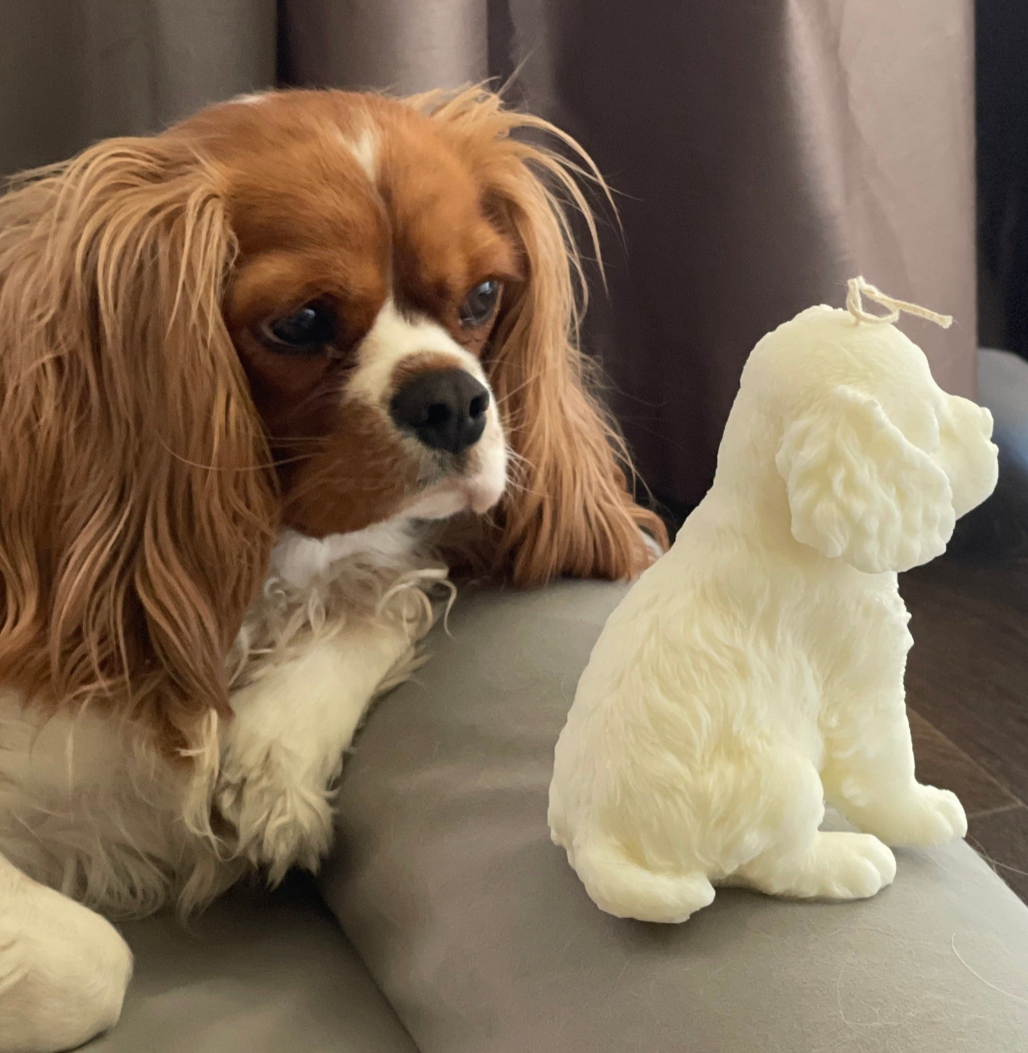 King Charles Cavalier Decorative Candle