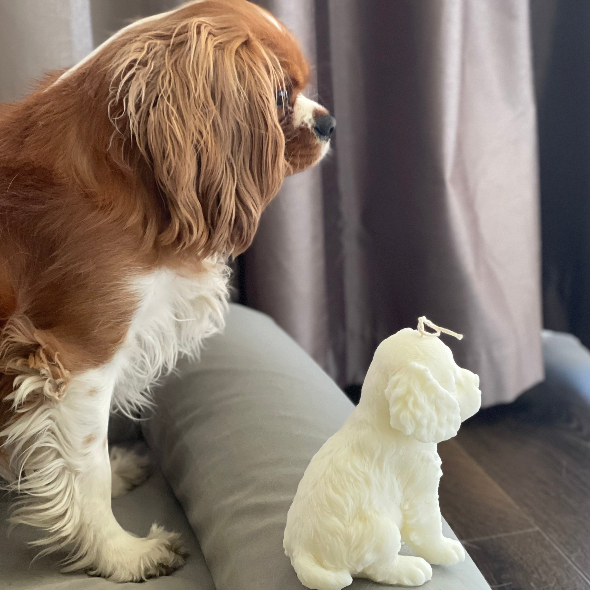 King Charles Cavalier Decorative Candle_12