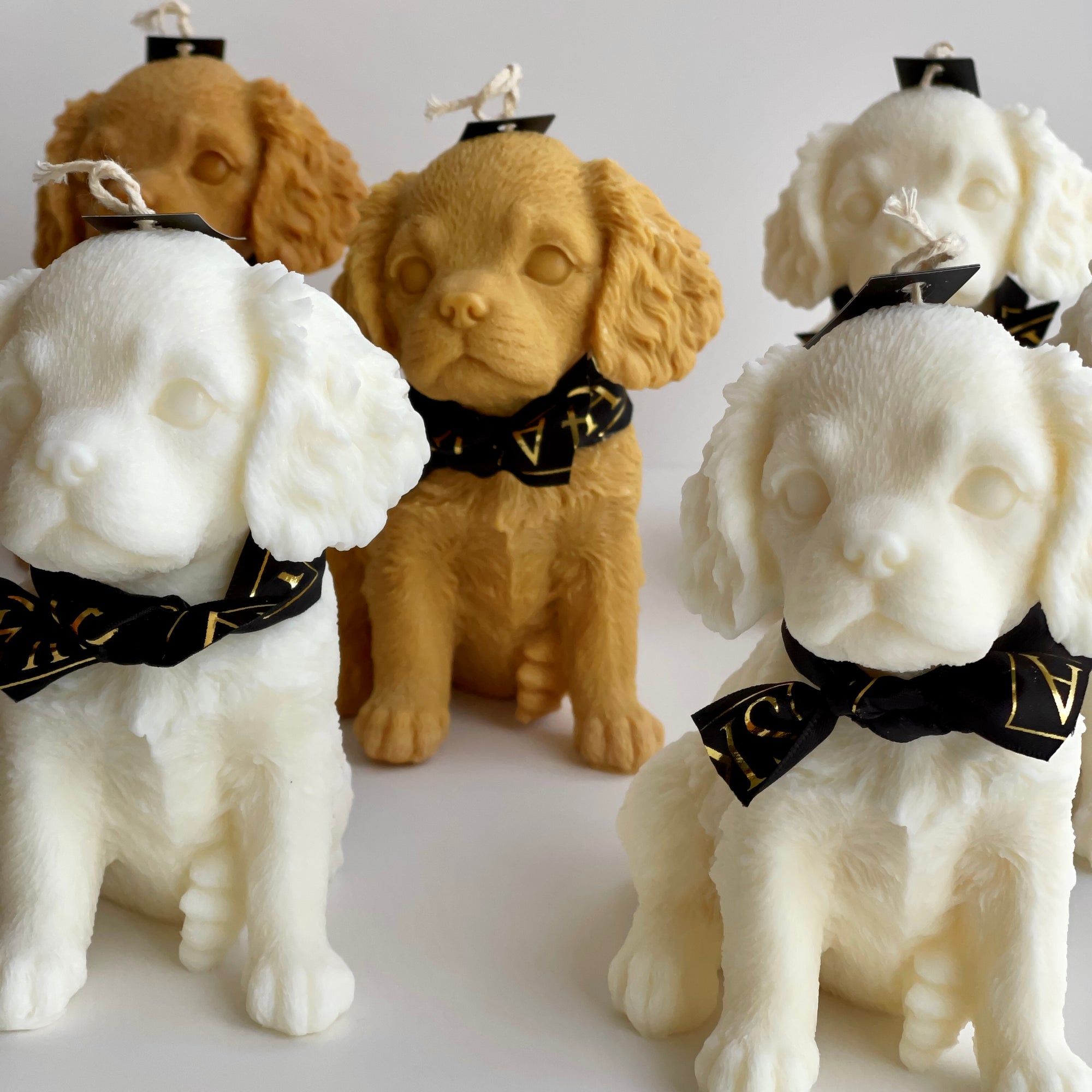 King Charles Cavalier Decorative Candle_16