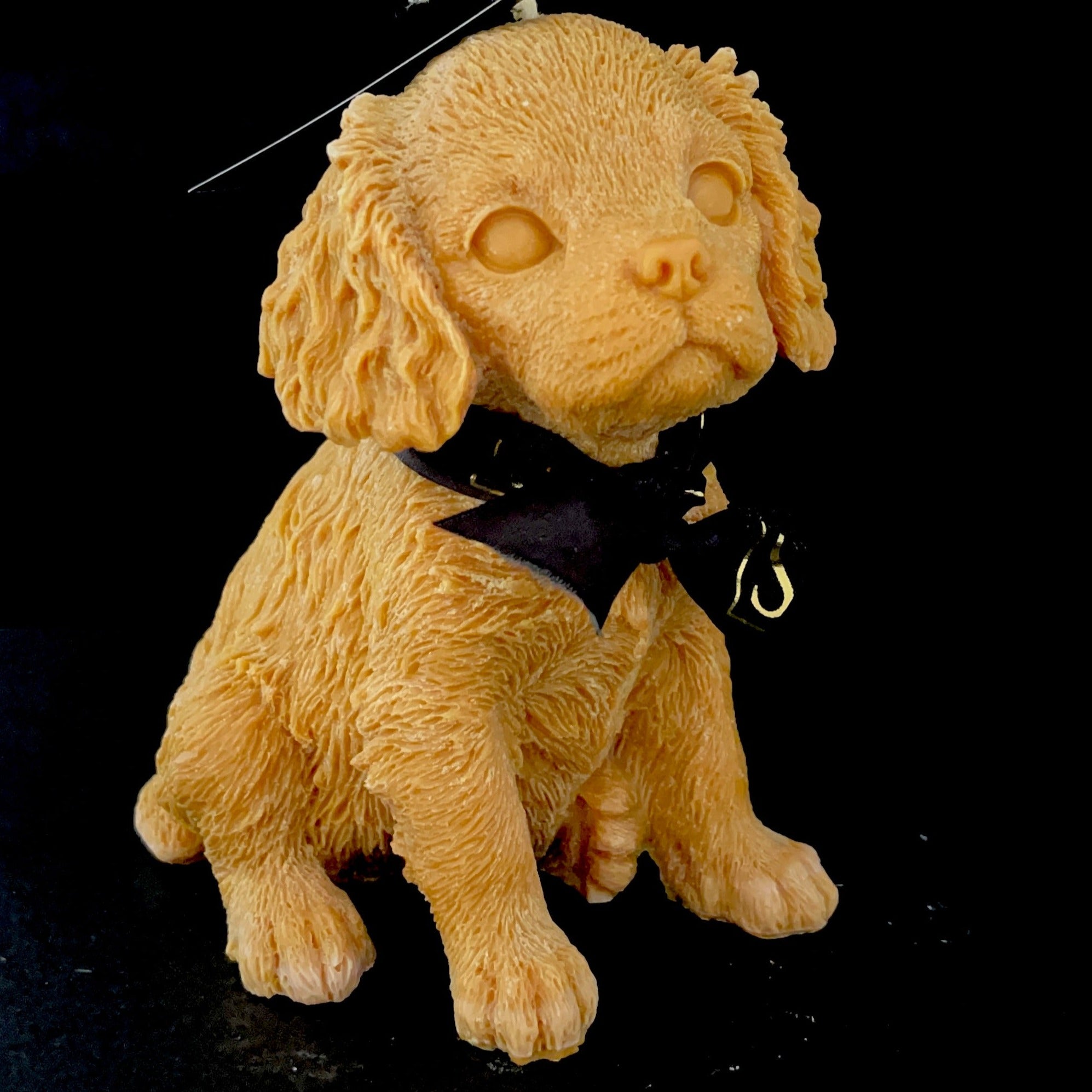 King Charles Cavalier Decorative Candle_9