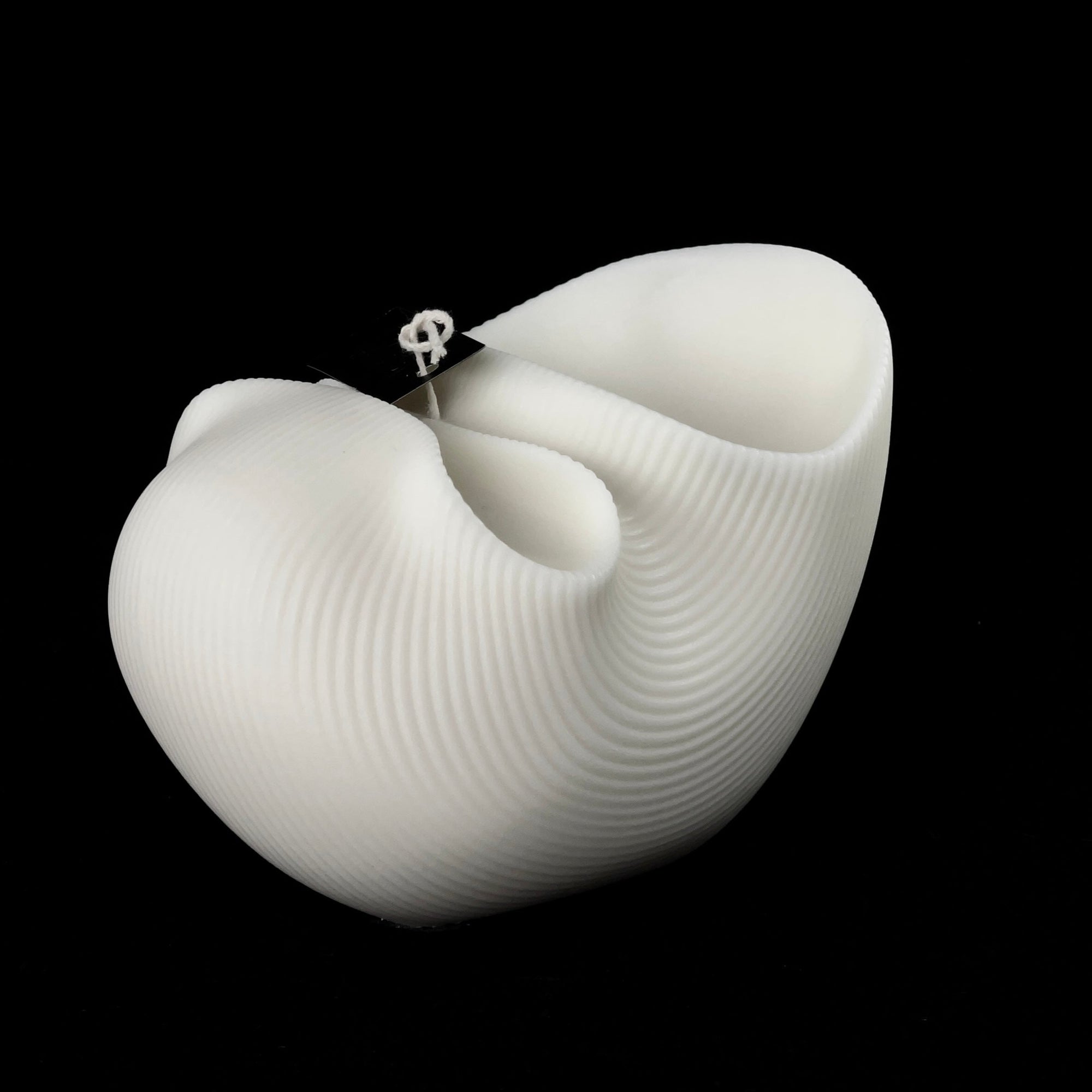 Nautilus Decorative Candle_11