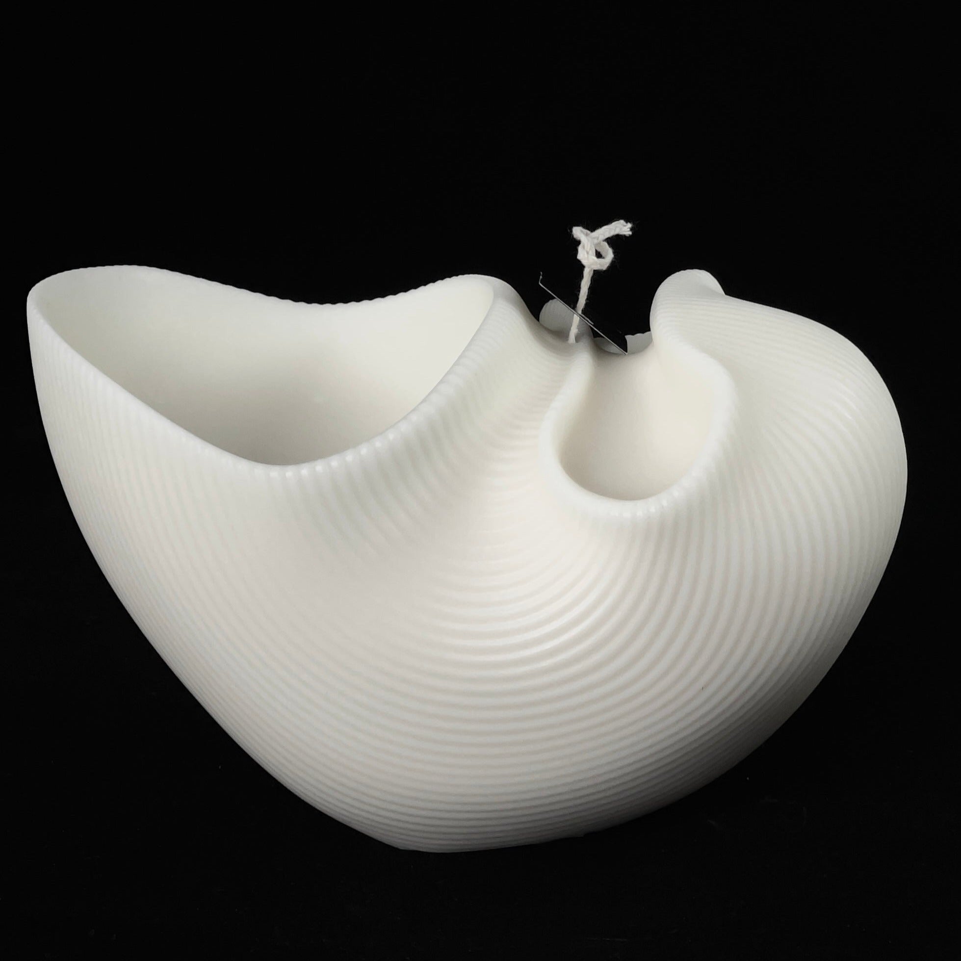 Nautilus Decorative Candle_8